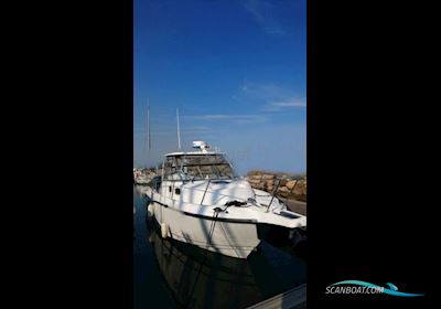 Boston Whaler 305 Conquest Motor boat 2005, with Mercury engine, France