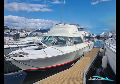 Riva Bertram 25 Sport Fisherman Motor boat 1971, with Mercruiser engine, France