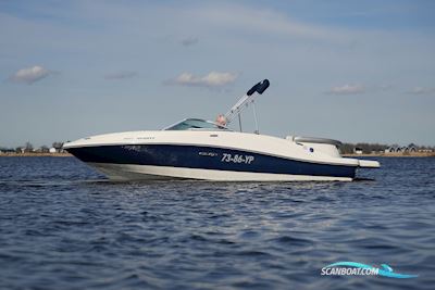 Sea Ray 185 Sport Motor boat 2009, with Mercruiser engine, The Netherlands