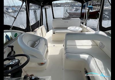 Sea Ray 255 Sundancer Motor boat 2008, with Mercruiser 5.0 Mpi engine, Denmark