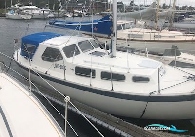 LM 27 Motor sailor 1978, with Bukh engine, Denmark