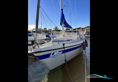 LM 30 Motor sailor 1983, with BUKH engine, Denmark