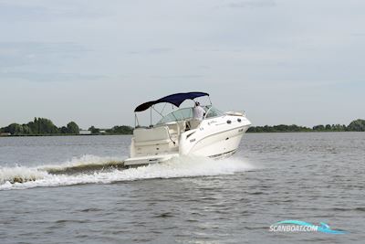 Sea Ray 255 Sundancer Motorbåd 2008, med Mercruiser motor, Holland