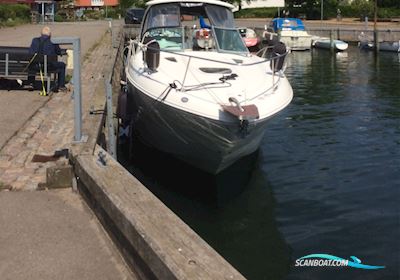 Sea Ray 335 Sundancer Motorbåd 2009, med Yanmar. 6Lpa.  6 Cylinder. 2+315 HK. motor, Danmark