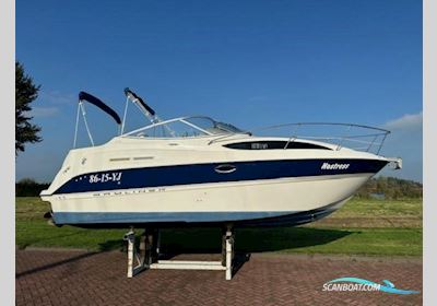 Bayliner 245 Ciera Motorbåt 2004, med Mercury motor, Holland