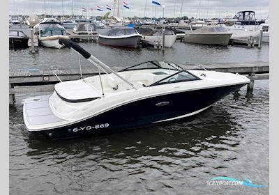 Sea Ray Spx 190 Motorboat 2020, with Mercruiser engine, The Netherlands