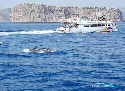 Commercial catamaran Motorboot 1995, mit MAN motor, Spanien