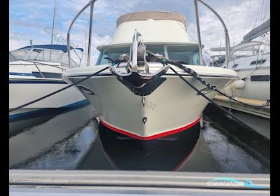 Riva Bertram 25 Sport Fisherman Motorboot 1971, mit Mercruiser motor, Frankreich