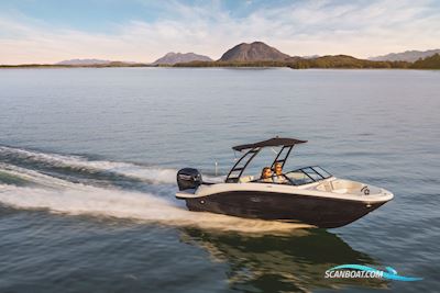 Sea Ray Spx 190 Outboard Motorboot 2024, mit Mercury motor, Dänemark