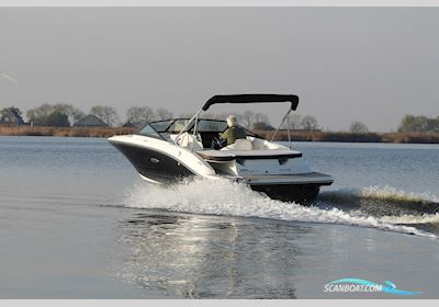 Sea Ray SPX 190 Motorboten 2020, The Netherlands