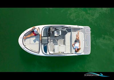 Sea Ray Spx 190 New Model 2024 Motorboten 2023, met Mercruiser motor, The Netherlands