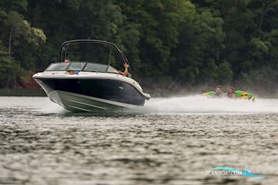 Sea Ray Spx 190 Motorboten 2024, met Mercruiser motor, Denemarken