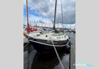 Baarda Grundel 900 Platbodem Sailing boat 1974, with Vetus engine, The Netherlands