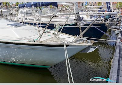 Camper & Nicholsons AC 40 Sailing boat 1979, The Netherlands