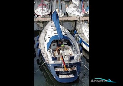 Comfort Yachts Comfortina 42 Sailing boat 2004, with Volvo Penta D2-55 engine, Germany