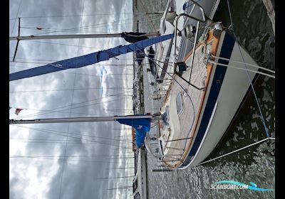 Hallberg Rassy 312 Mk1 Sailing boat 1985, with Yanmar, 3YM30AE
 engine, Denmark