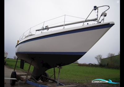 Neptun 31 Sailing boat 1976, with Volvo Penta 2003  3-Zyl. Diesel engine, Germany