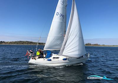 Scampi 30 Sailing boat 1975, with Yanmar 2GM20 engine, Denmark