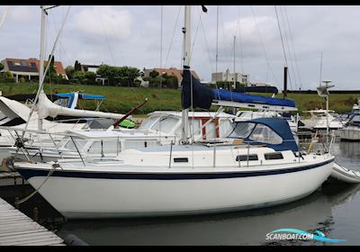 Zeilboot Cal 31 Sailing boat 1979, with Vetus engine, The Netherlands