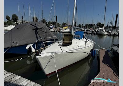 Albin Express Sailingboat 1978, Germany