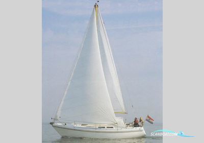 Contest 31 Ht Ac Sailingboat 1978, The Netherlands