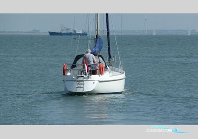 Contest 31 Sailingboat 1974, The Netherlands