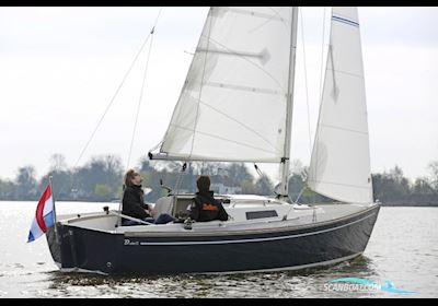 Damarin D23 (Nieuw) Sailingboat 2024, with Yanmar engine, The Netherlands