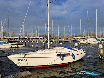 Hallberg Rassy 26 Sailingboat 1979, with Volvo engine, The Netherlands