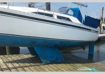 Moody 27 Sailingboat 1985, with Volvo engine, Ireland