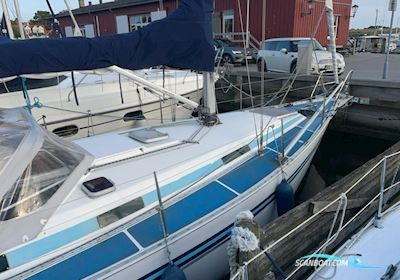 Bianca 107 Efterårspris Segelbåt 1989, med Yanmar motor, Danmark