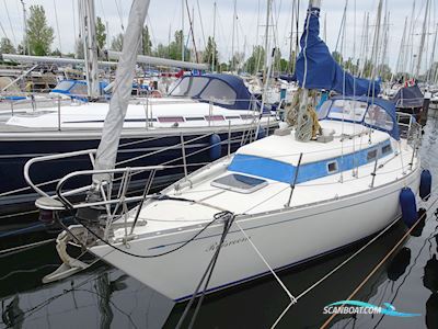 Carter 30 Segelbåt 1986, med Volvo Penta<br />2002 S motor, Holland