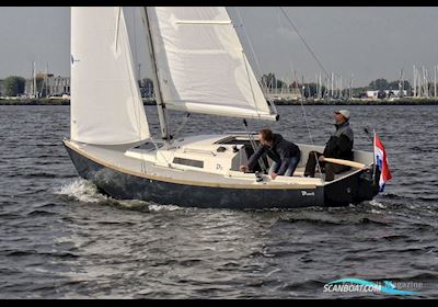 Damarin D23 (Nieuw) Segelbåt 2024, med Yanmar motor, Holland