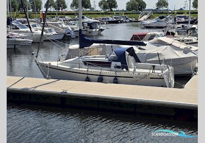 Gib Sea 262 Segelbåt 1991, med Yanmar motor, Holland