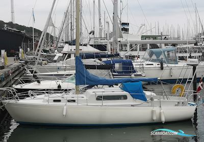 Albin Vega Segelboot 1969, mit Yanmar motor, Dänemark