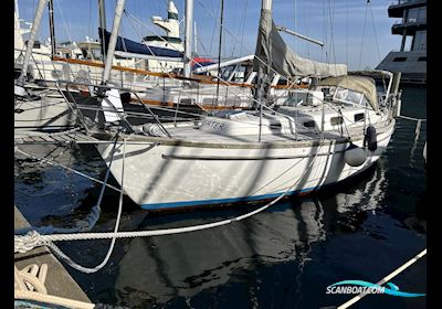 Amigo 40 Segelboot 1989, mit Yanmar motor, Dänemark