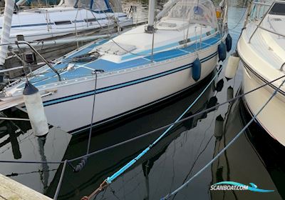 Bianca 107 Segelboot 1989, mit Yanmar motor, Dänemark