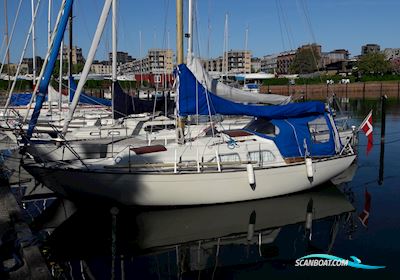 Bianca 27 Segelboot 1974, mit Bukh DV10 me motor, Dänemark