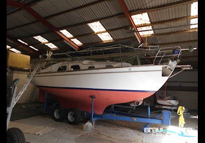 De Kloet Fellowship 28 Segelboot 1978, mit Vetus motor, Deutschland