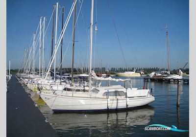 Dehler Optima 850 Segelboot 1974, mit Farymann motor, Niederlande