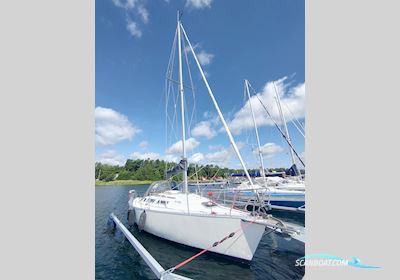 Gib Sea 312 Segelboot 1989, mit Kubota motor, Deutschland