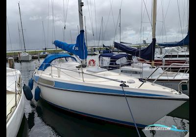 Hallberg Rassy 26 Segelboot 1979, mit Volvo motor, Niederlande