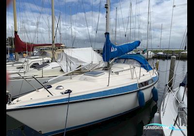 Hallberg Rassy 26 Segelboot 1979, mit Volvo motor, Niederlande