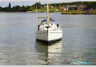 Hallberg-Rassy Monsun 31 Segelboot 1975, mit Volvo Penta MD20 30 motor, Deutschland