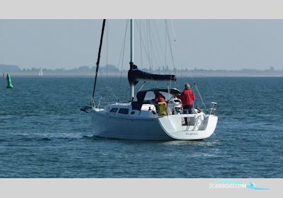 Hanse 325 Segelboot 2014, Niederlande