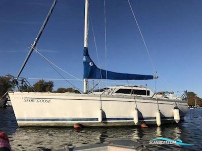 Jeanneau Tonic 23 Segelboot 1989, mit Yamaha motor, England