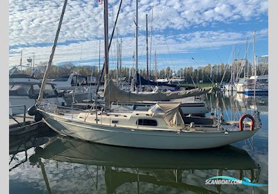 Marsdiep 34 Segelboot 1963, mit Solé motor, Niederlande