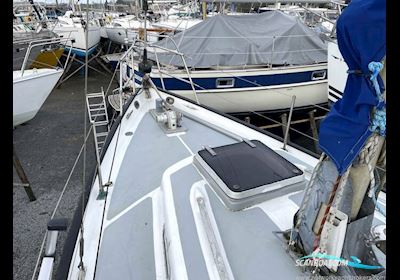 Neptune 33 Segelboot 1969, mit Beta motor, Irland