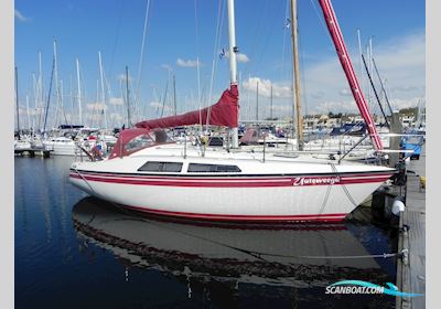 Sunwind 29 Segelboot 1981, Niederlande