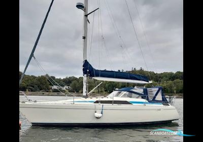 Unclassified Maxi 33 Segelboot 1988, mit Volvo motor, Irland