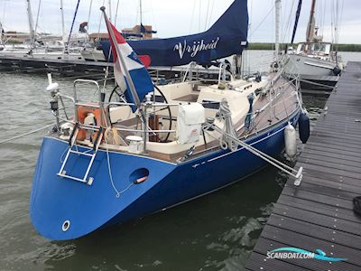 Baltic 37 Sejlbåd 1982, med Yanmar motor, Holland